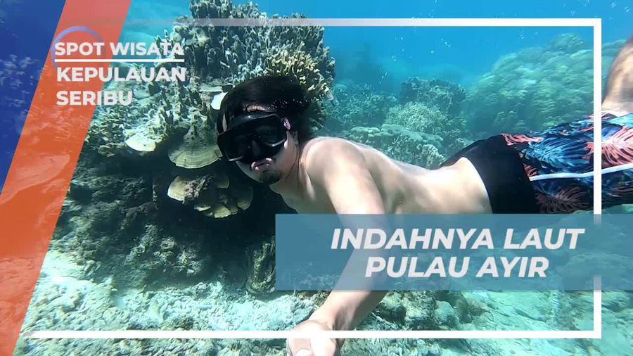 Menemukan Keindahan Laut Pulau Ayir Saat Snorkeling, Kepulauan Seribu