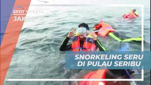 Snorkeling Seru di Pulau Seribu, Jakarta
