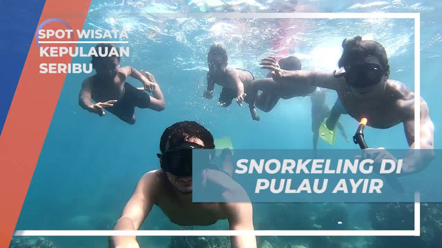 Snorkeling Menyusuri Keindahan Laut Pulau Ayir, Kepulauan Seribu