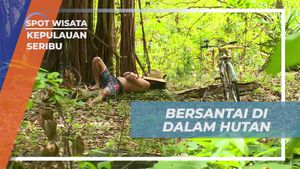 Bersantai dan Menikmati Hijau Hutan di Pulau Ayir, Kepulauan Seribu