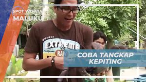 Mancing Kepiting Kenari di Maluku