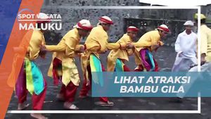 Mencoba Atraksi Menarik Bambu Gila di Maluku