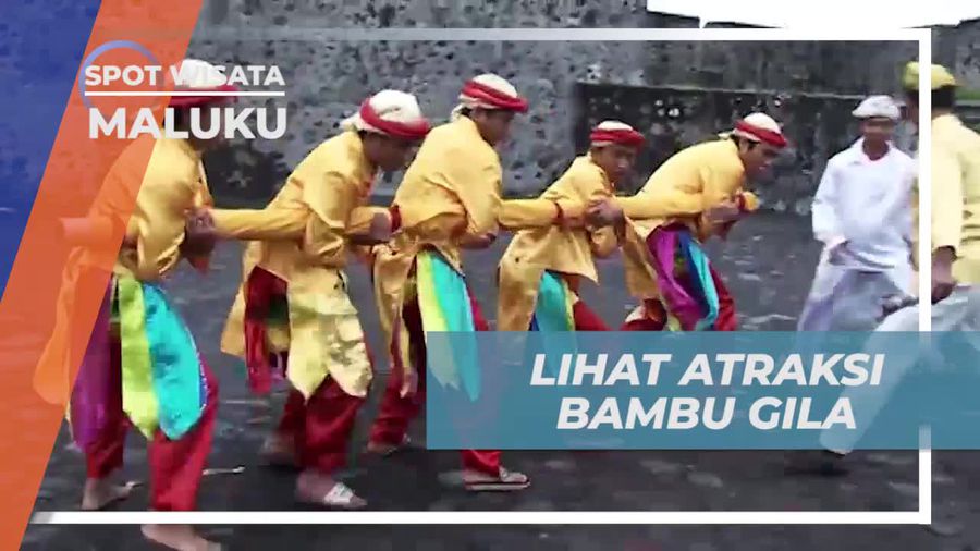 Mencoba Atraksi Menarik Bambu Gila di Maluku