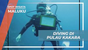 Menyelam Mengagumkan di Pulau Kakara, Maluku