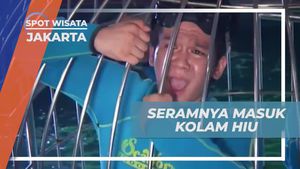 Merasa Gentar Saat Masuk ke Kolam Hiu di Jakarta