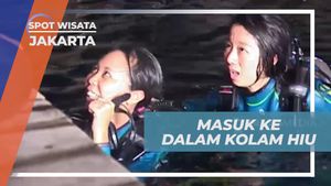Memasuki Kolam Hiu dengan Penuh Tantangan di Jakarta
