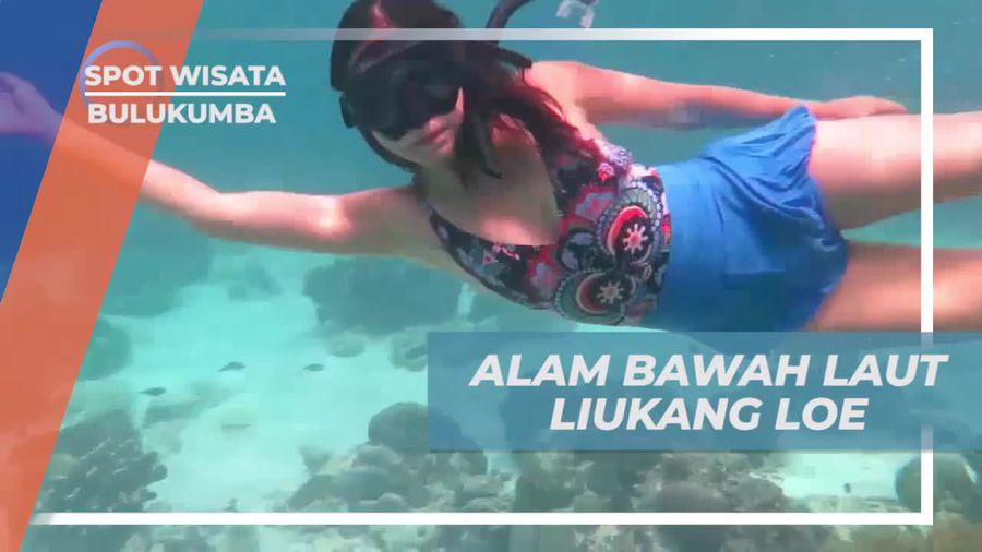 Menyelami Keindahan Alam Bawah Laut di Pulau Liukang Loe, Bulukumba
