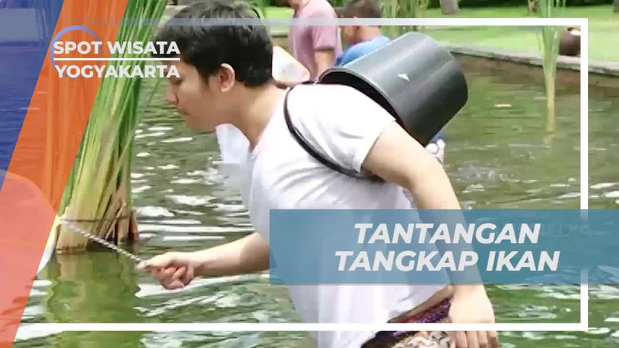 Tantang Diri Anda Menangkap Ikan di Kolam Hotel Mewah Yogyakarta