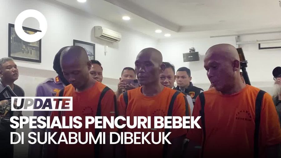Video Spesialis Pencuri Bebek di Sukabumi Dibekuk, Ini Modusnya