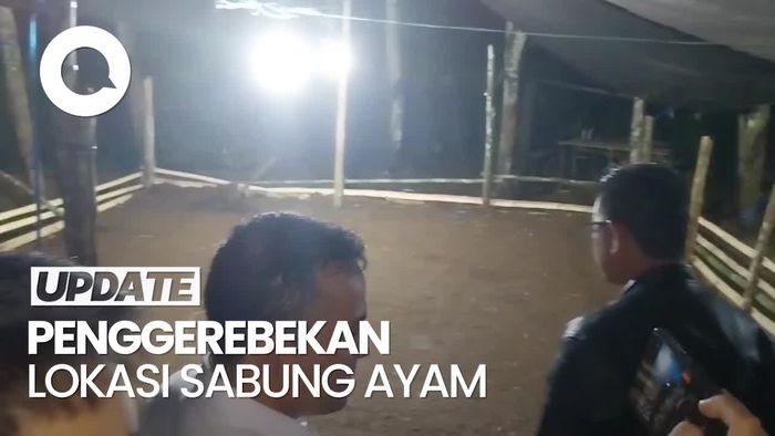 Video: Polisi Gerebek Tempat Sabung Ayam di Lubuklinggau, Puluhan Kendaraan Disita