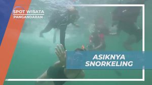 Serunya Snorkeling di Keindahan Laut Pantai Pasir Putih, Pangandaran