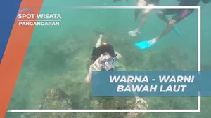 Menikmati Keindahan Bawah Laut Pantai Pasir Putih, Pangandaran