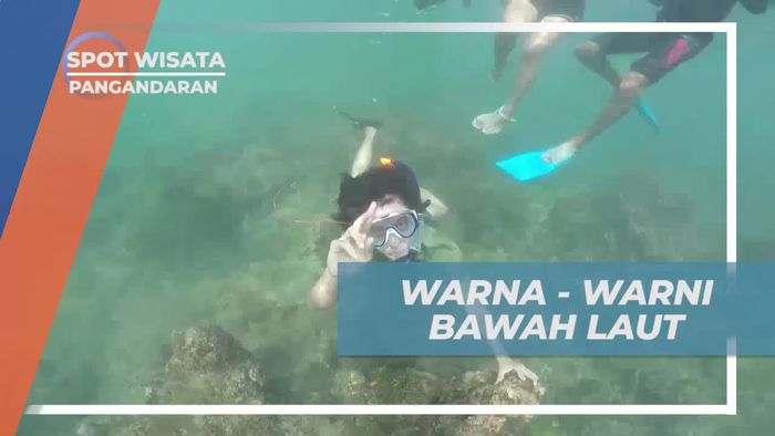 Menikmati Keindahan Bawah Laut Pantai Pasir Putih, Pangandaran