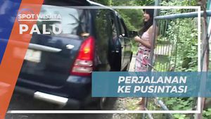 Menjelajahi Kawasan Pusintasi Palu dengan Mobil Pribadi