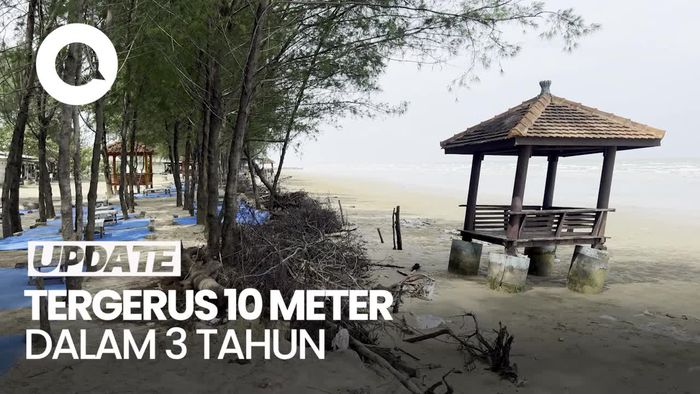 Video Pantai Caruban Rembang Kena Abrasi, Tergerus 10 Meter dalam 3 Tahun