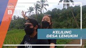 Menjelajahi Keindahan Desa Lemukih di Bali