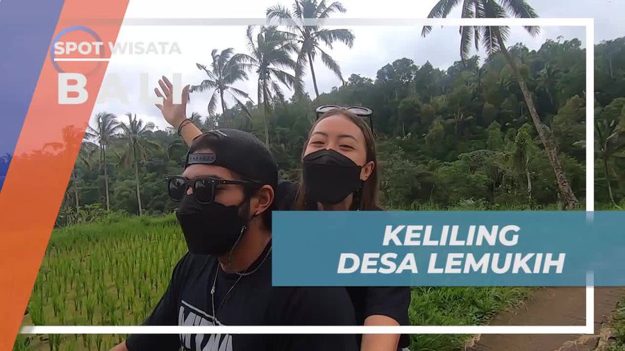 Menjelajahi Keindahan Desa Lemukih di Bali