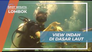 Menikmati Pemandangan Indah di Dasar Laut Gili Trawangan