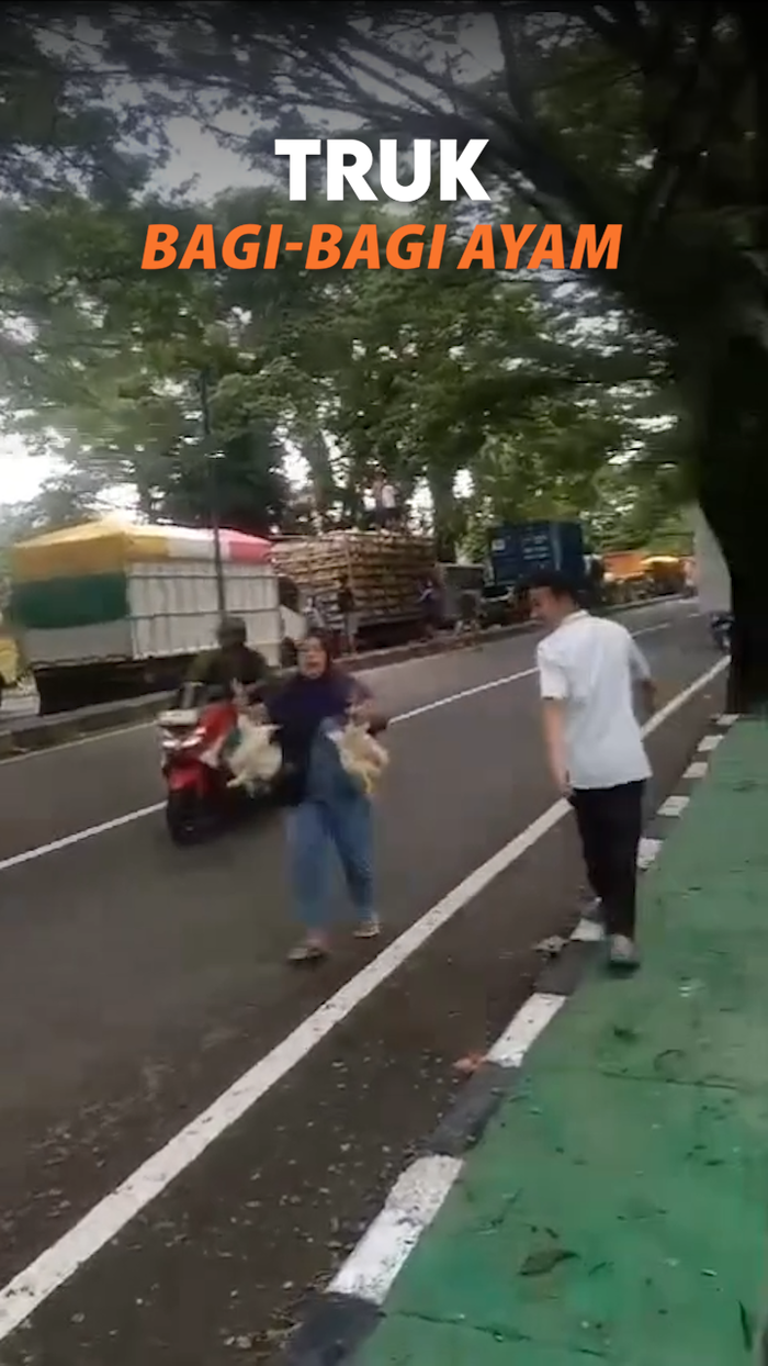 Video: Heboh Sopir Bagikan Ayam Gegara Truk Terjebak Macet di Jl Trans Sulsel