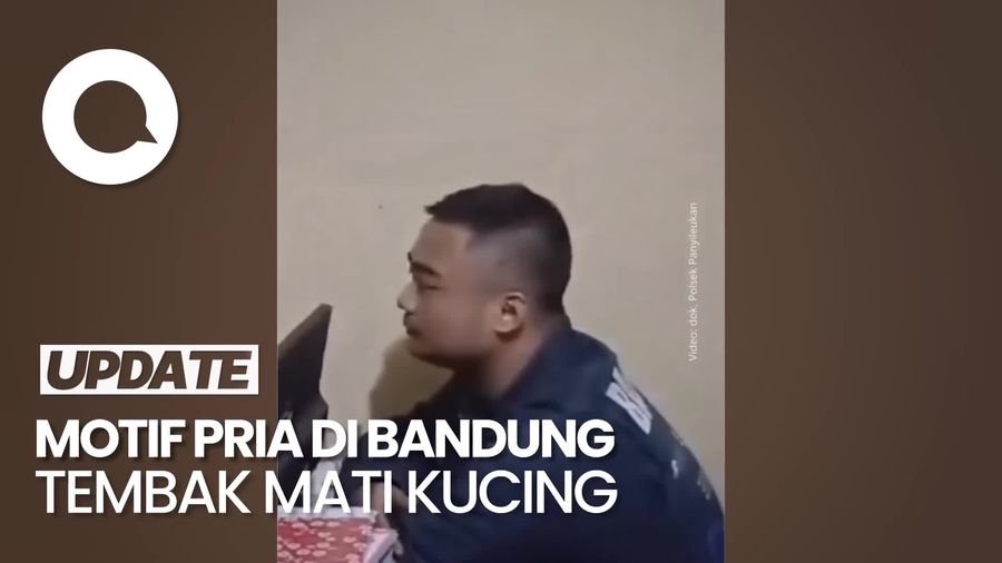 Video Motif Pria di Bandung Tembak Mati Kucing: Diganggu saat Makan