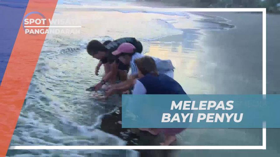 Mencoba Menari Saman di Aceh