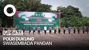 Video: Polri Tanam Jagung 1 Juta Hektare di DIY, Upaya Dukung Ketahanan Pangan Nasional
