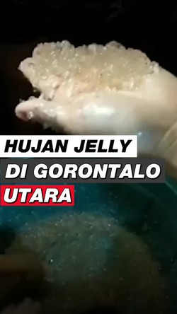 Video: Hujan Jelly Bikin Geger Warga di Gorontalo Utara