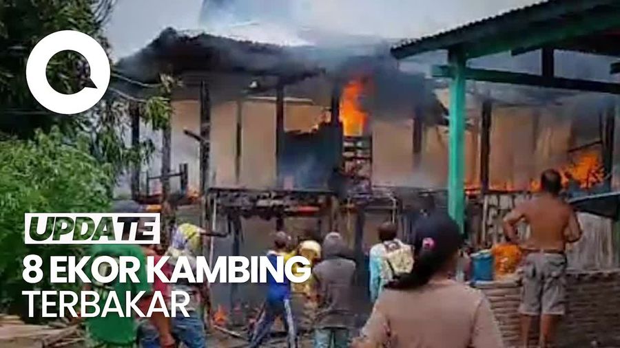 Video: Kebakaran 2 Rumah Warga di Polman Sulbar, 8 Ekor Kambing Ikut Terbakar