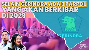 Menakar Kekuatan Prabowo Tanpa KIM Plus