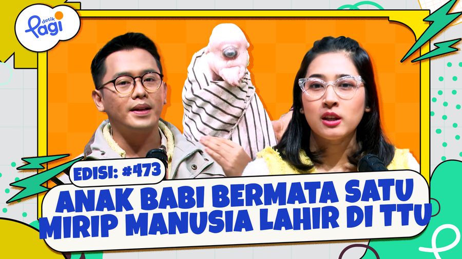 Anak Babi Bermata Satu-Mirip Manusia Lahir di TTU