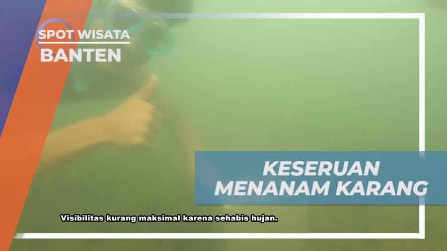 Serunya Menanam Terumbu Karang di Pantai Katapang, Banten