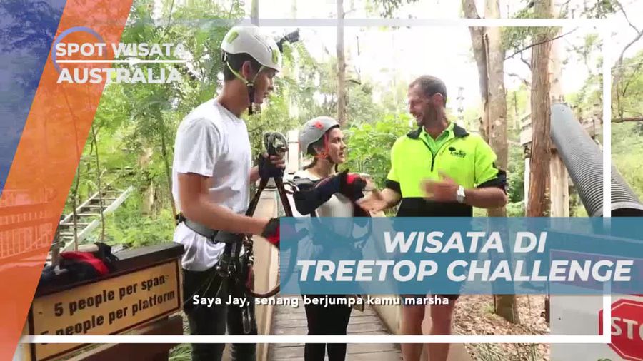 Menaklukkan Tantangan Seru di Treetop Challenge, Australia