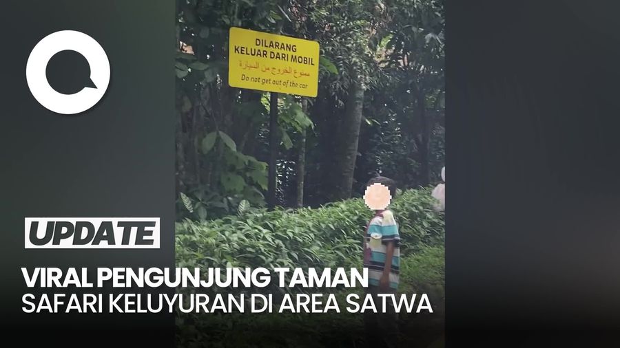 Video: Heboh Pengunjung Taman Safari Bogor Keluar dari Mobil Lalu Keluyuran