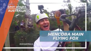 Mencoba Flying Fox yang Seru di Treetop Challenge, Australia