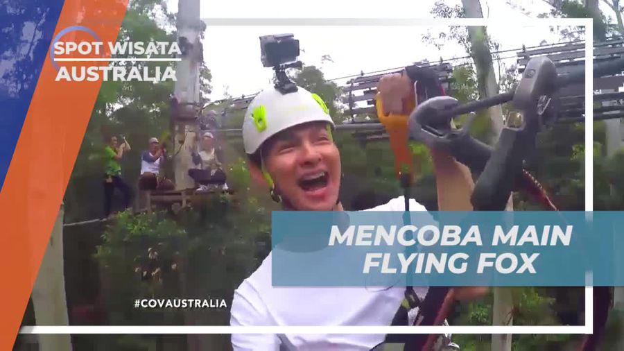 Mencoba Flying Fox yang Seru di Treetop Challenge, Australia
