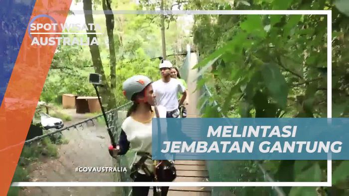 Melewati Jembatan Gantung yang Menantang di Treetop Challenge, Australia