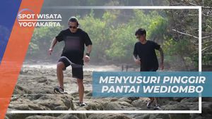 Menyusuri Keindahan Pinggir Pantai Wediombo, Yogyakarta