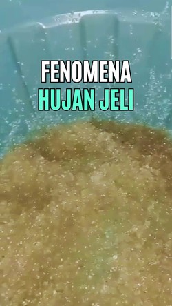 Video BMKG soal Hujan Jeli di Gorontalo: Perlu Dikaji-Diteliti Lebih Jauh