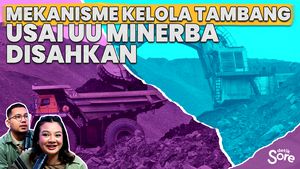 Alasan Kampus Tidak Bisa Kelola Tambang, Usai UU Minerba Diketok