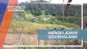 Menjelajahi Keindahan Queensland, Australia