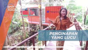 Menikmati Penginapan Lucu di Hau Eco Lodge, Citumang, Pangandaran