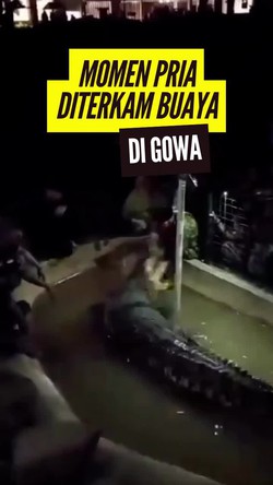 Video: Detik-detik Pria Diterkam Buaya di Cimory Land Gowa