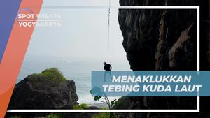 Menaklukkan Tebing Kuda Laut dengan Rappeling, Yogyakarta
