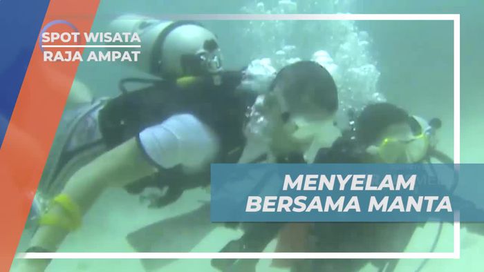 Menyelam Bersama Manta di Meos Mansaar, Raja Ampat