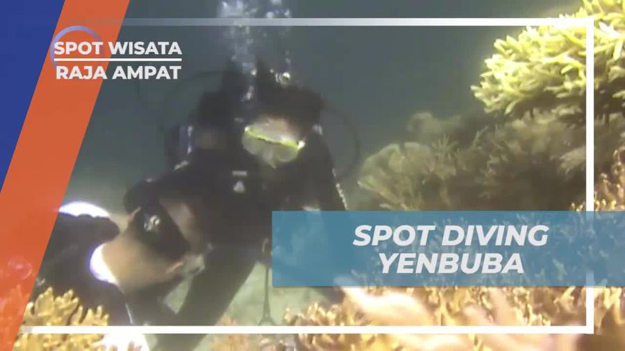 Jelajahi Spot Diving Yenbuba yang Memikat, Raja Ampat