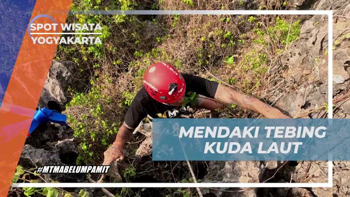 Mendaki Tebing Kuda Laut untuk Menyambut Tantangan Rappeling, Yogyakarta