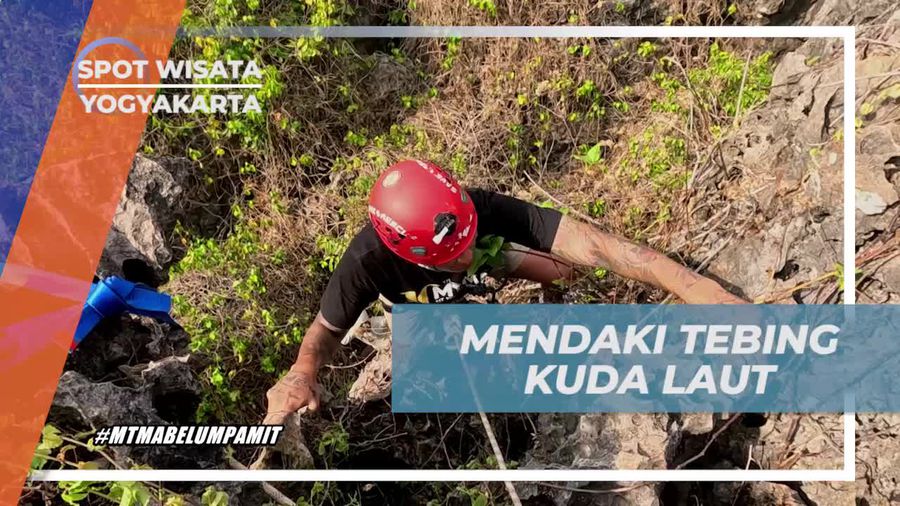 Mendaki Tebing Kuda Laut untuk Menyambut Tantangan Rappeling, Yogyakarta