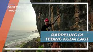 Rasakan Sensasi Rappeling di Tebing Kuda Laut, Yogyakarta