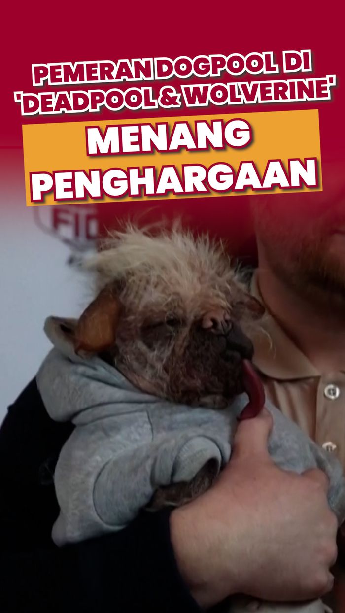 Video: Saat Peggy Pemeran Dogpool Menang Penghargaan Setara Oscar