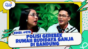 Polisi Gerebek Rumah Budidaya Ganja di Bandung